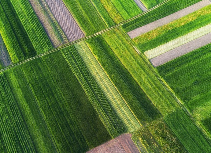 Aerial view of fields